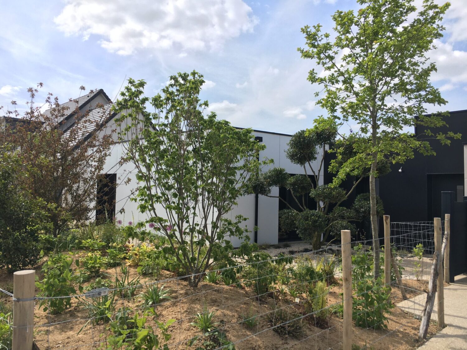 img 4756