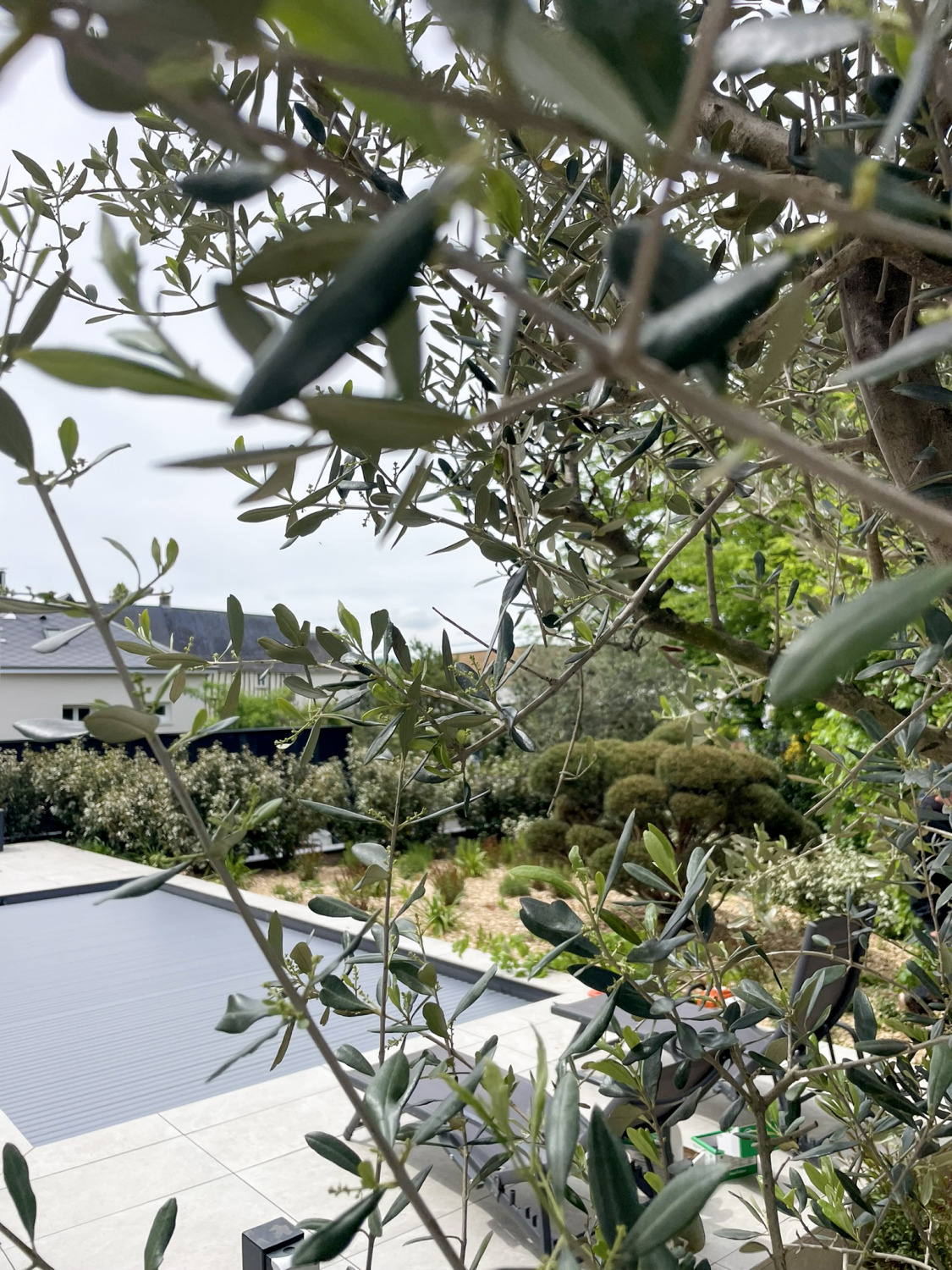 jardin paysagiste am atelier 2024 rouen