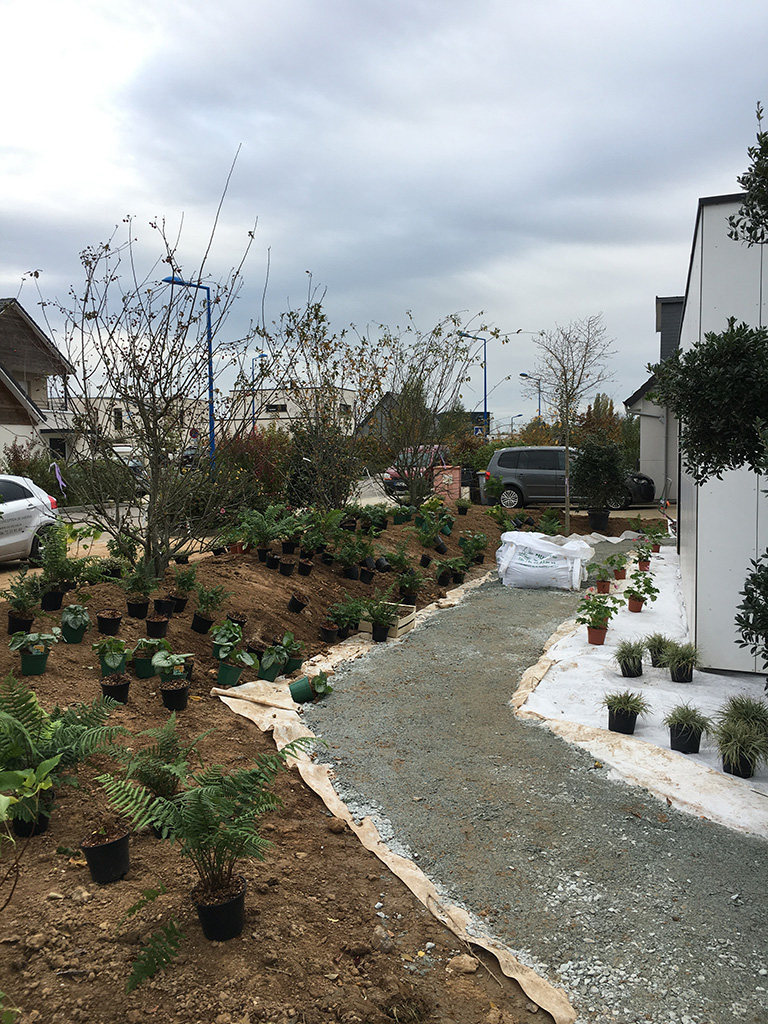 plantation antoine mazy paysagiste