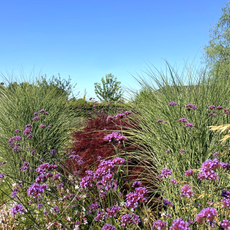 antoine mazy paysagiste texture feuillage jardin 620x620px
